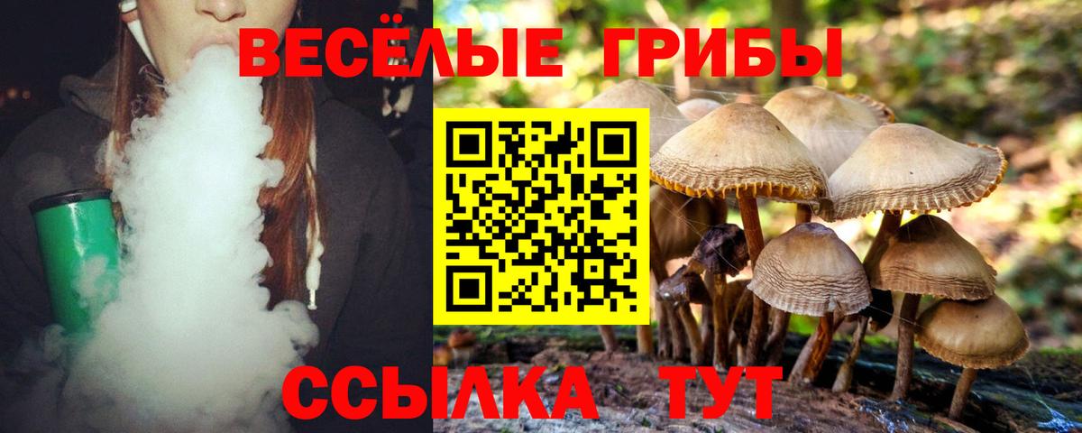 Галлюциногенные грибы Psilocybine cubensis Великие Луки