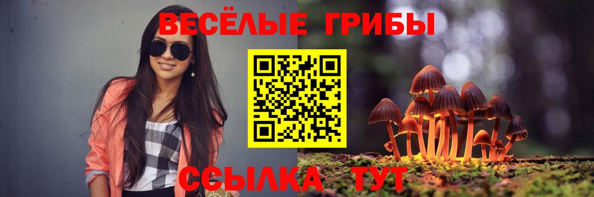 Галлюциногенные грибы GOLDEN TEACHER  Вход с VPN  Галлюциногенные грибы Psilocybine cubensis  Великие Луки 